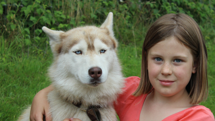 SOIGNEUR ANIMALIER - (11/17 ans)